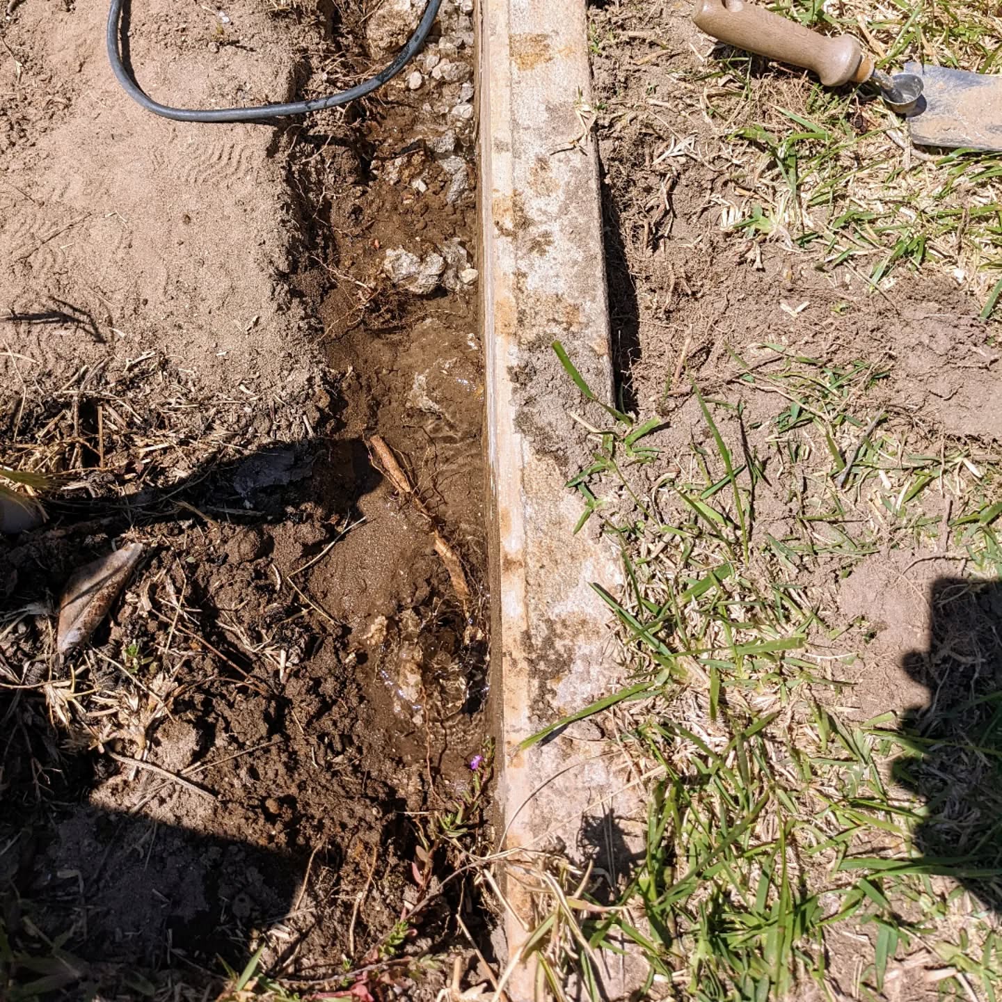 Accidentally drilled into the water pipe while breaking the cement around the edging. No irrigation until this is fixed.