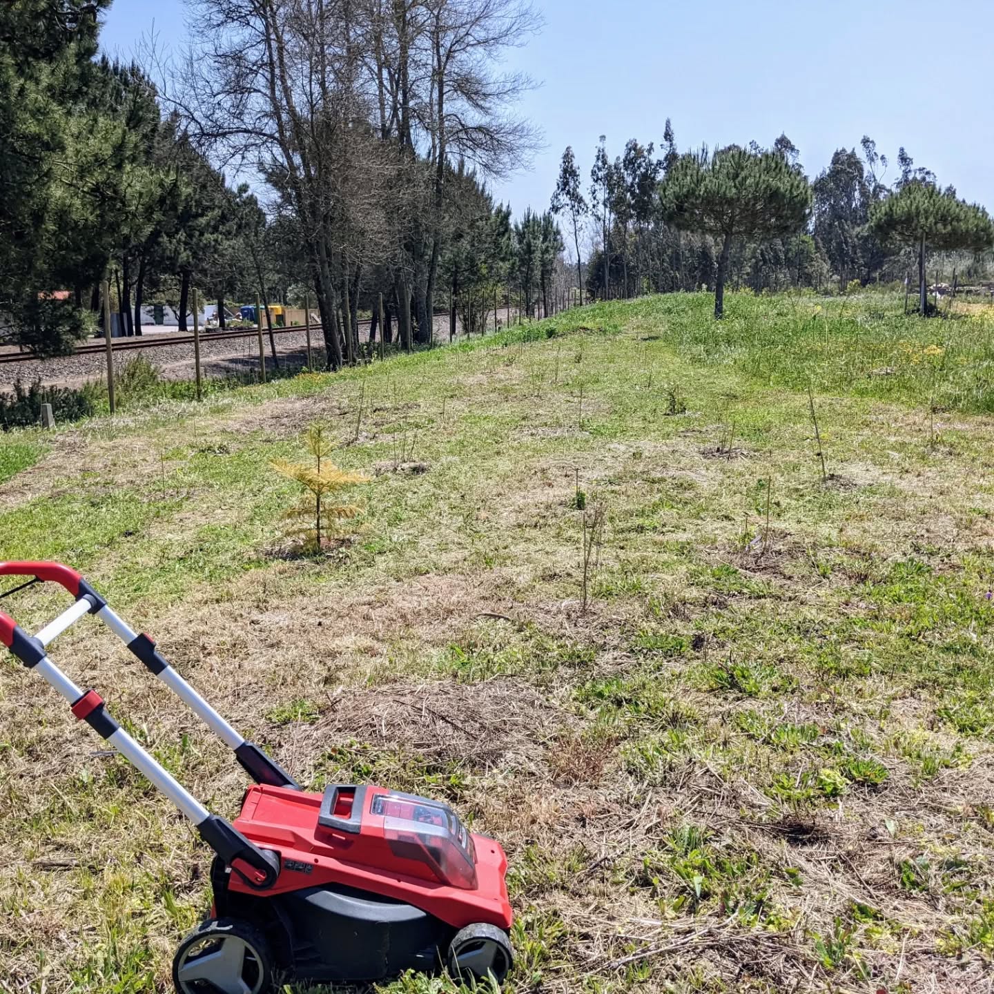 #mowing