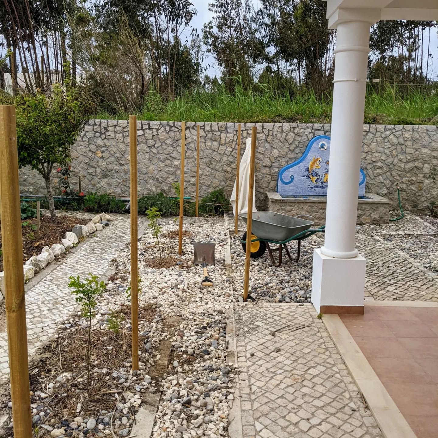 #hessian #windbreak