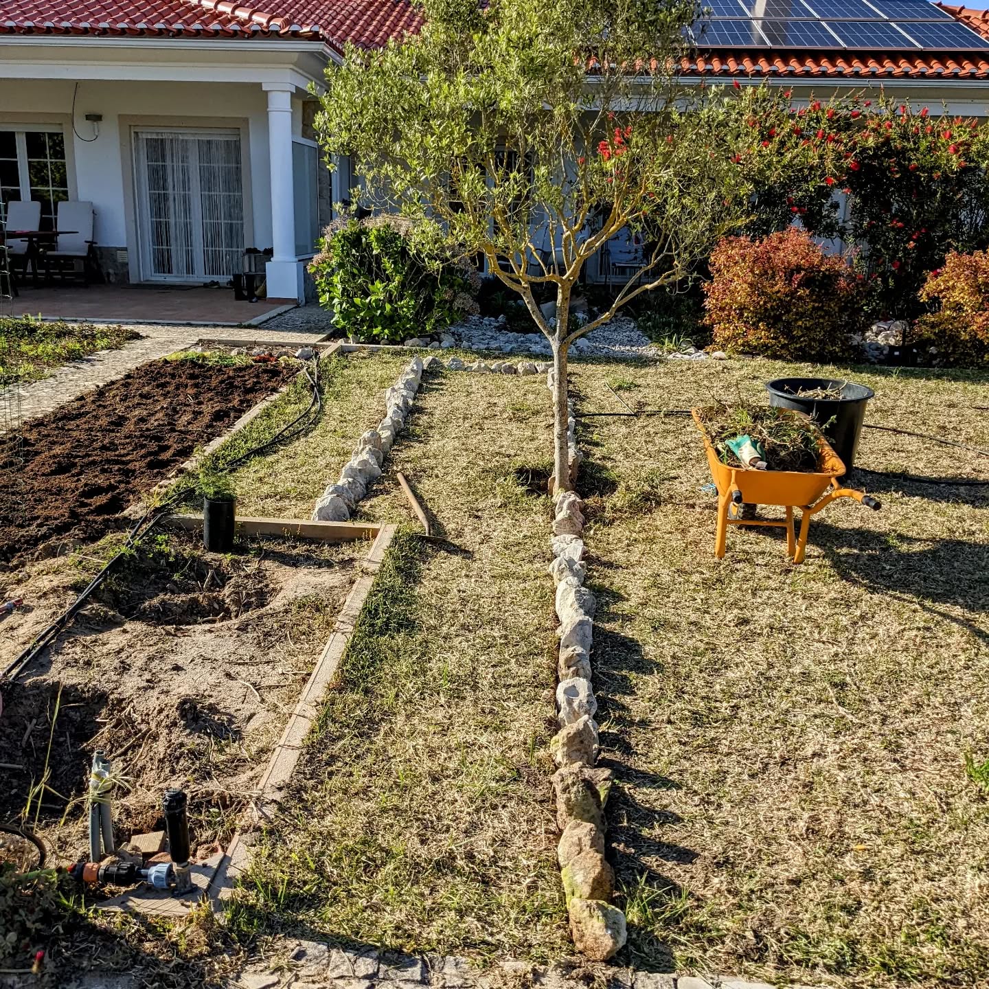 Medicinal herb beds continuing to take shape