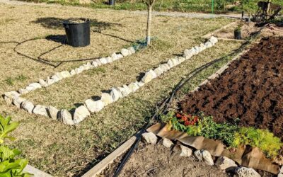 Bed preparation and planting continues