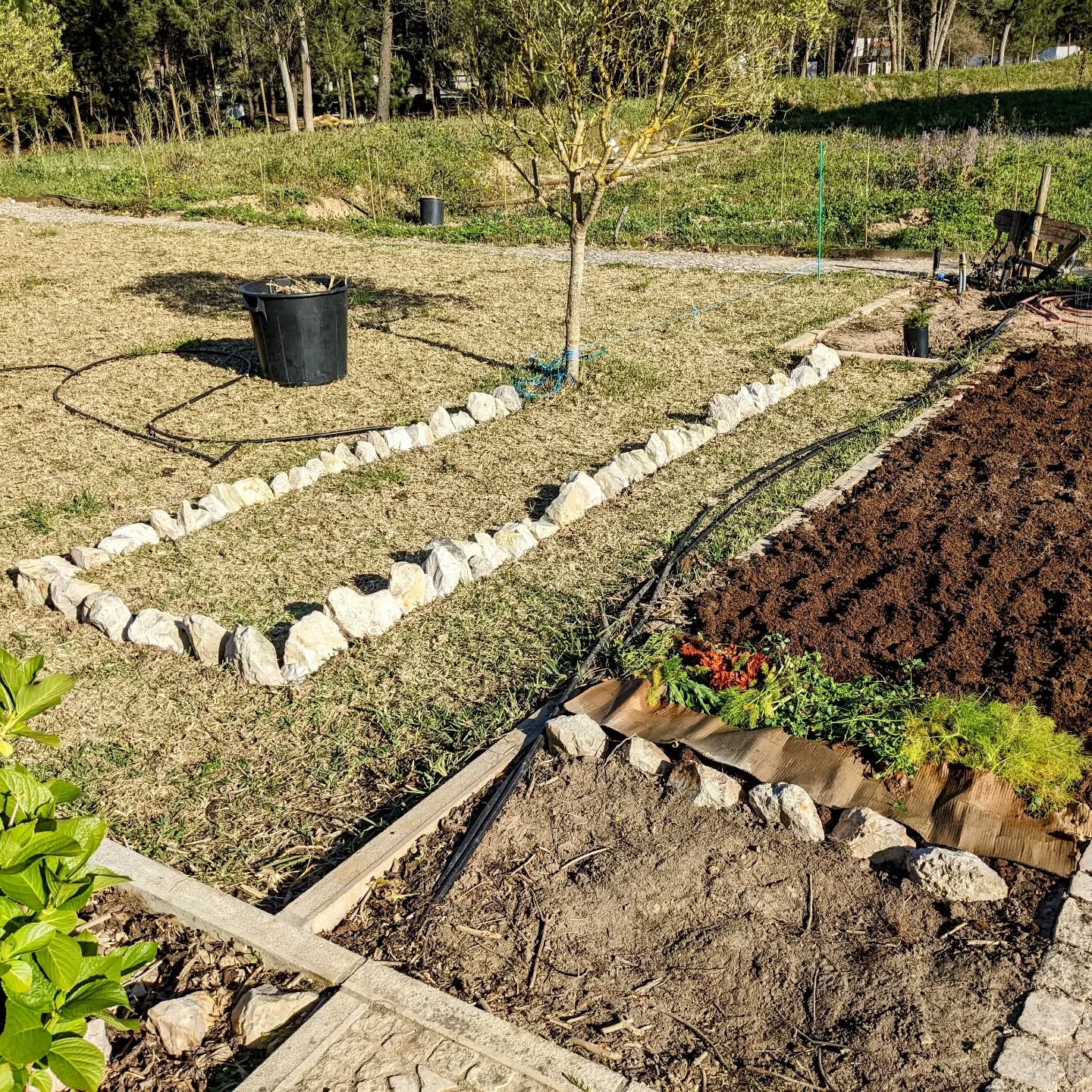 Bed preparation and planting continues