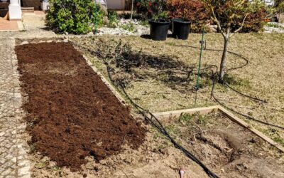 Preparing former hortênsia spot for planting