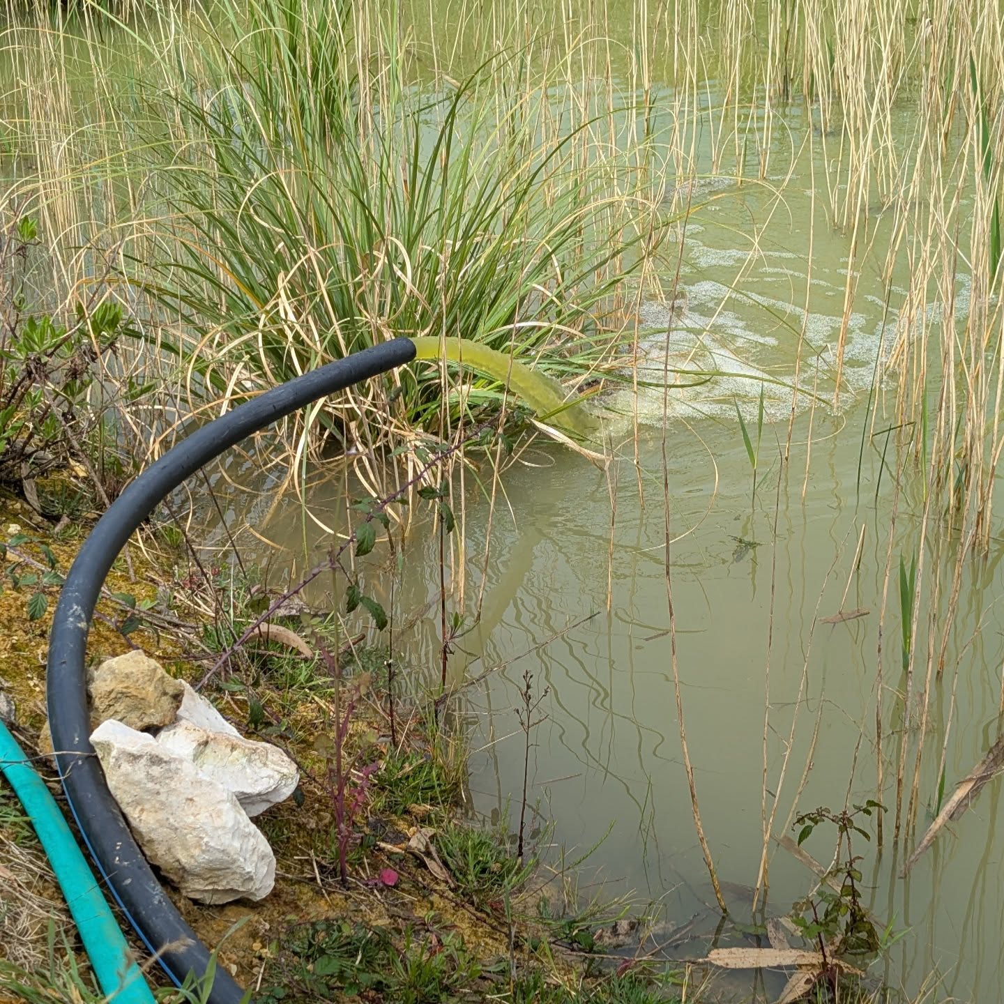 Upgraded the pond pumping system to increase the flow out of the duck pond.