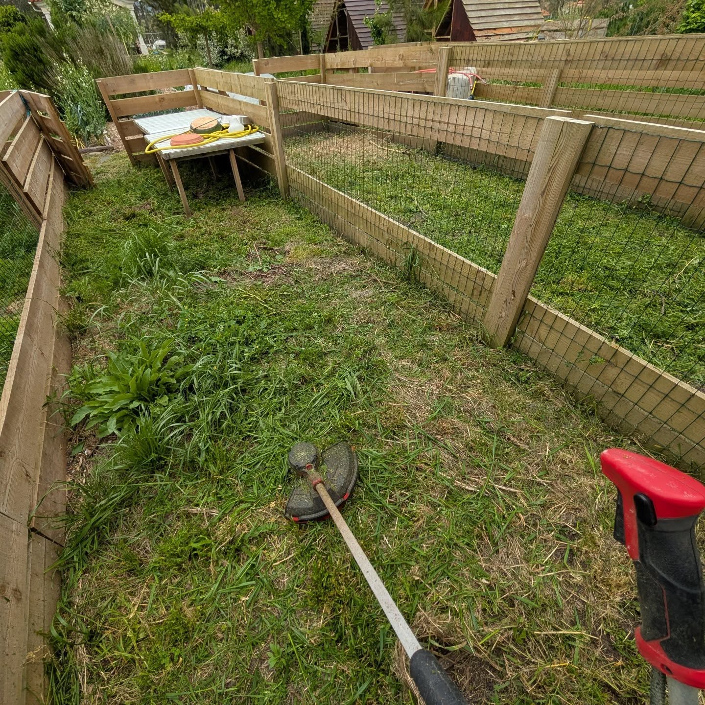 Cleaning the nursery beds.