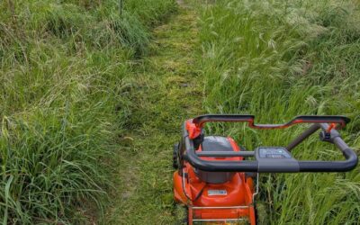Cleaning paths with the lawnmower.