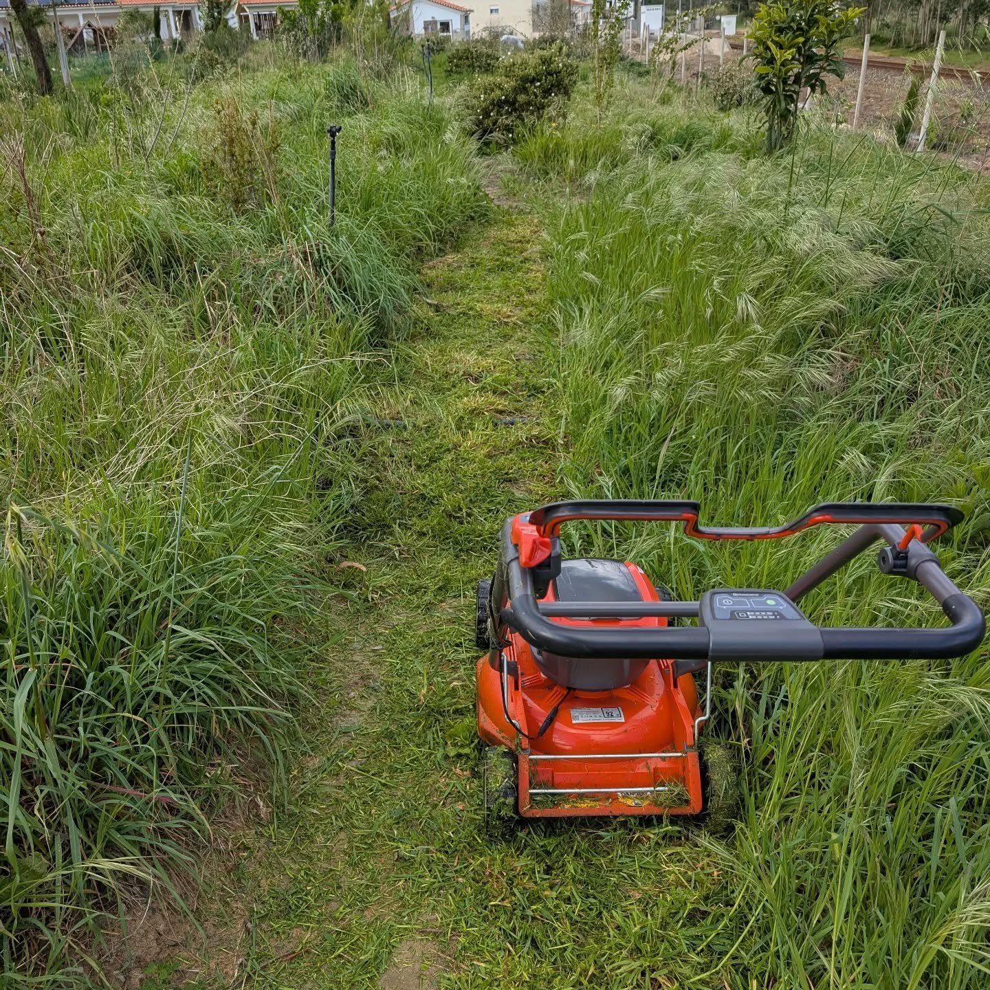Cleaning paths with the lawnmower.