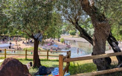 Discovering Portugal Through Science: Our Scientific Expeditions Begin