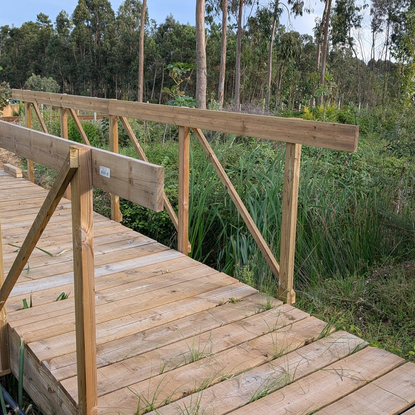 Our bridges are (mostly) ready to help us get over ourselves! 🌉 Just need to add ramps so it’s smooth rolling with the wheelbarrow. What seemed like a simple span in our minds turned into quite the engineering feat – but it’s great to see them finally bridging the gap between expectation and reality!