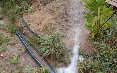 Surprise water leak in one of the new pipes laid this summer.