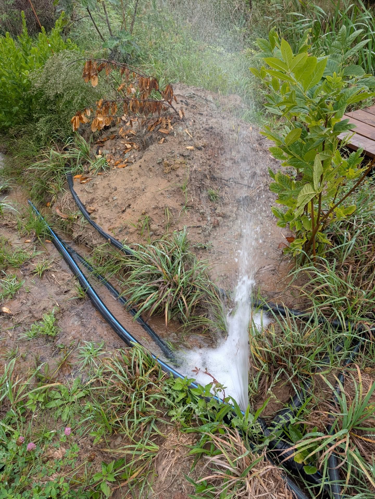 Surprise water leak in one of the new pipes laid this summer.