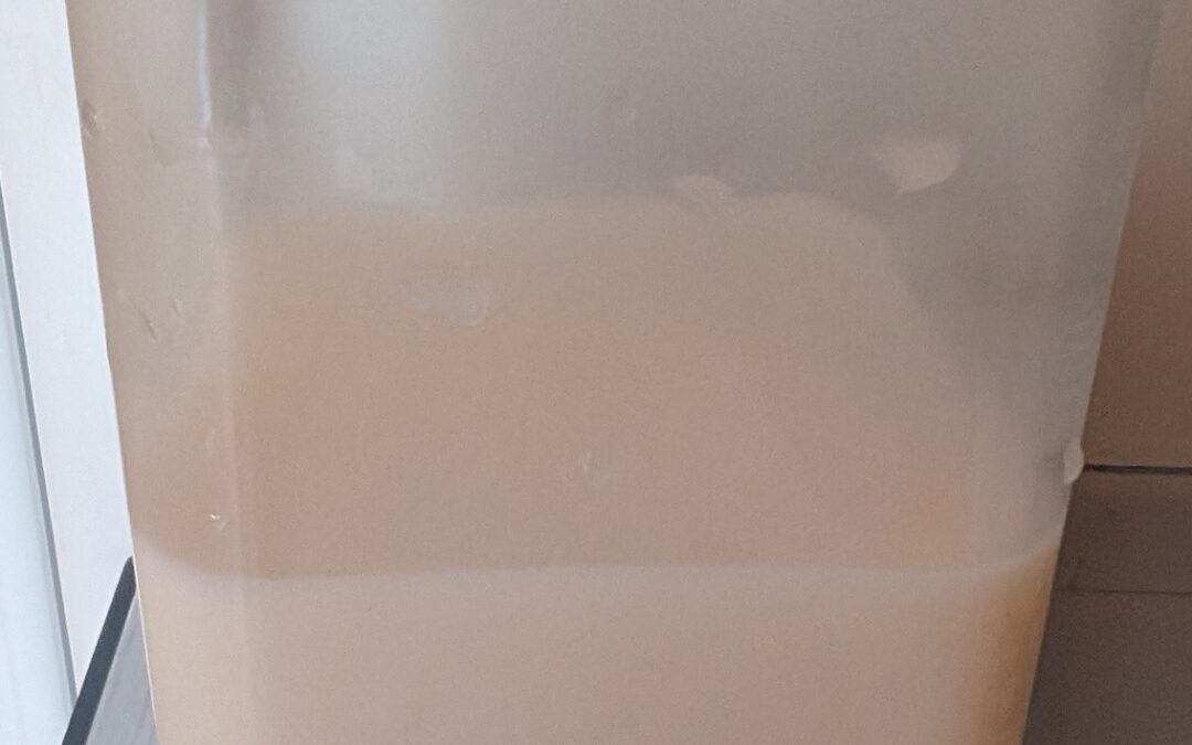 Raw goat milk. A precious surprise gift. Thank you, new friend!