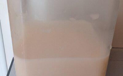 Raw goat milk. A precious surprise gift. Thank you, new friend!