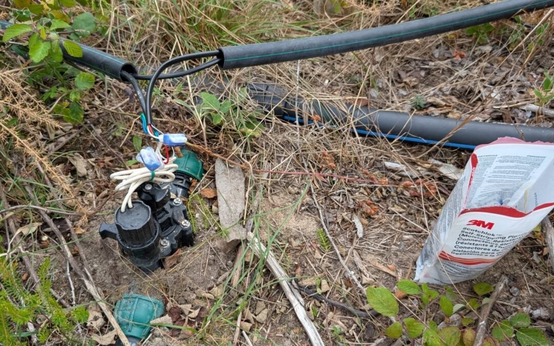 Irrigation revamp continues: wiring up some more valves.