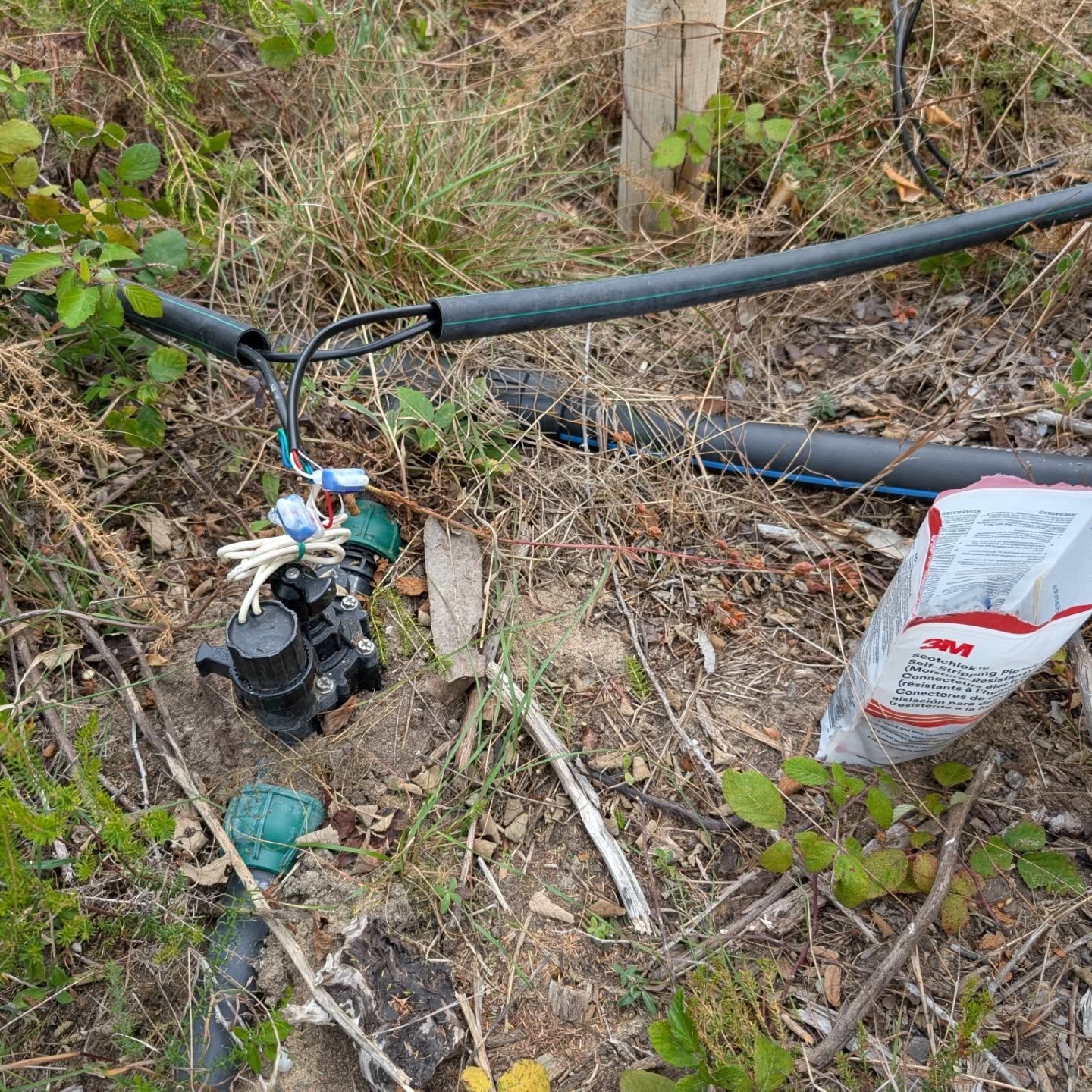 Irrigation revamp continues: wiring up some more valves.