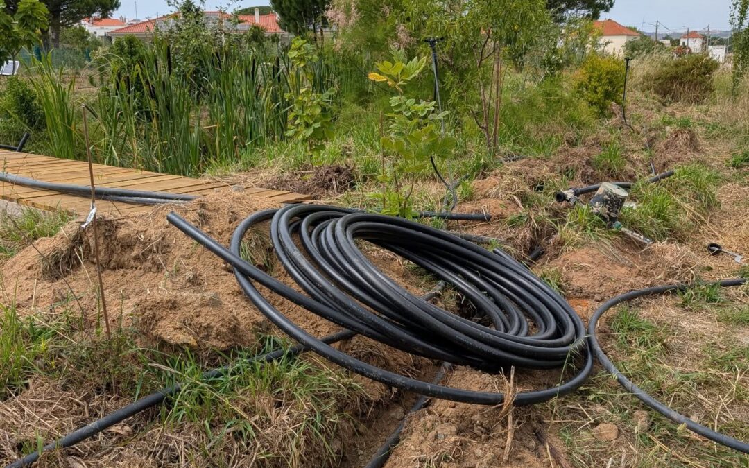 Irrigation revamp continues apace.