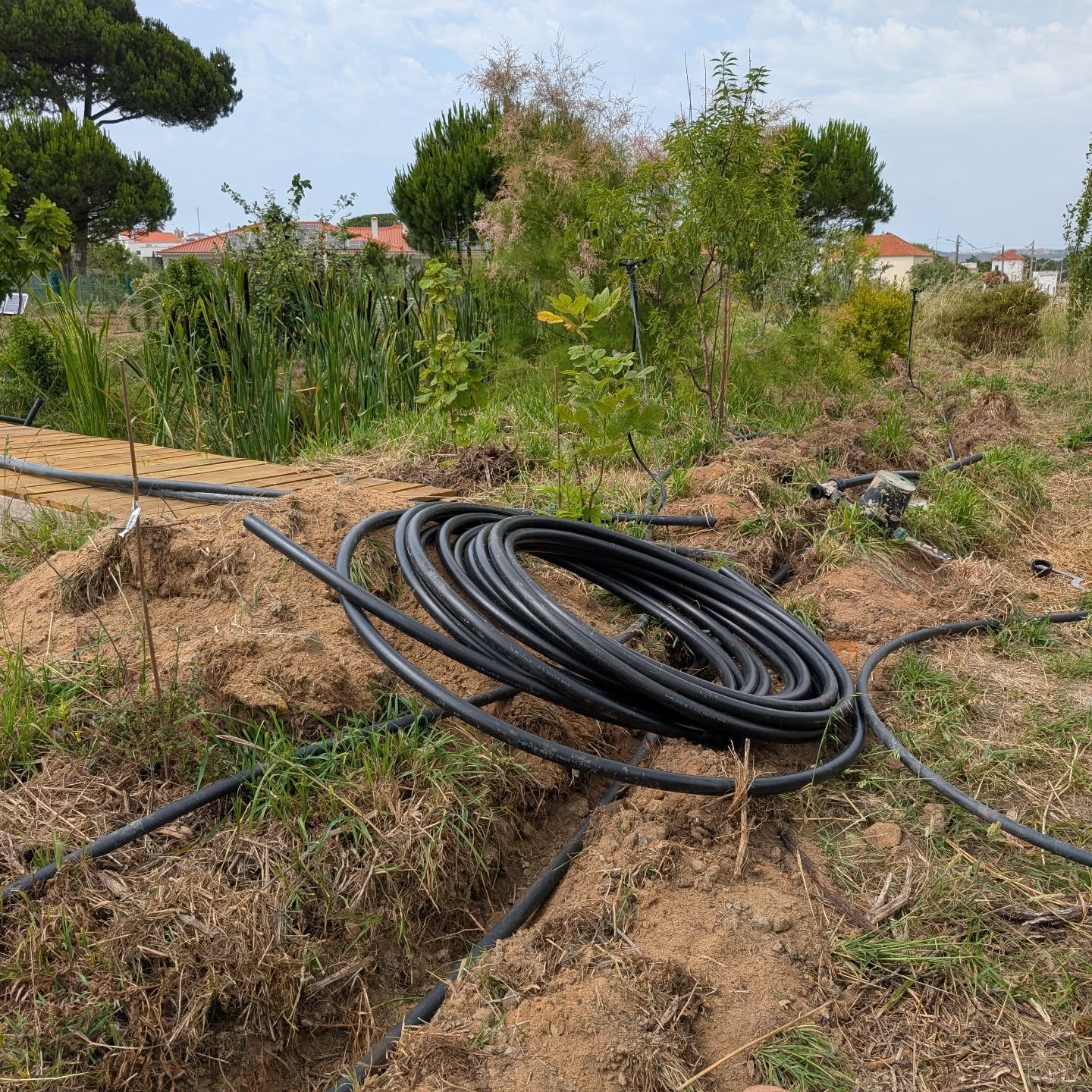 Irrigation revamp continues apace.