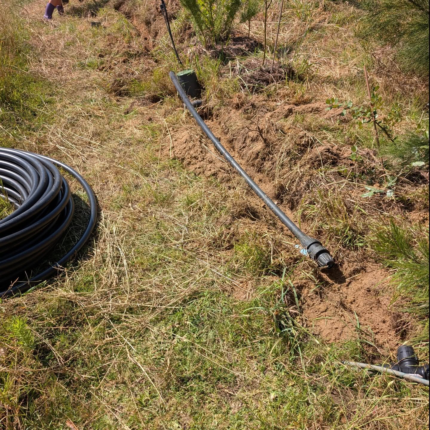 Starting on an irrigation revamp project.