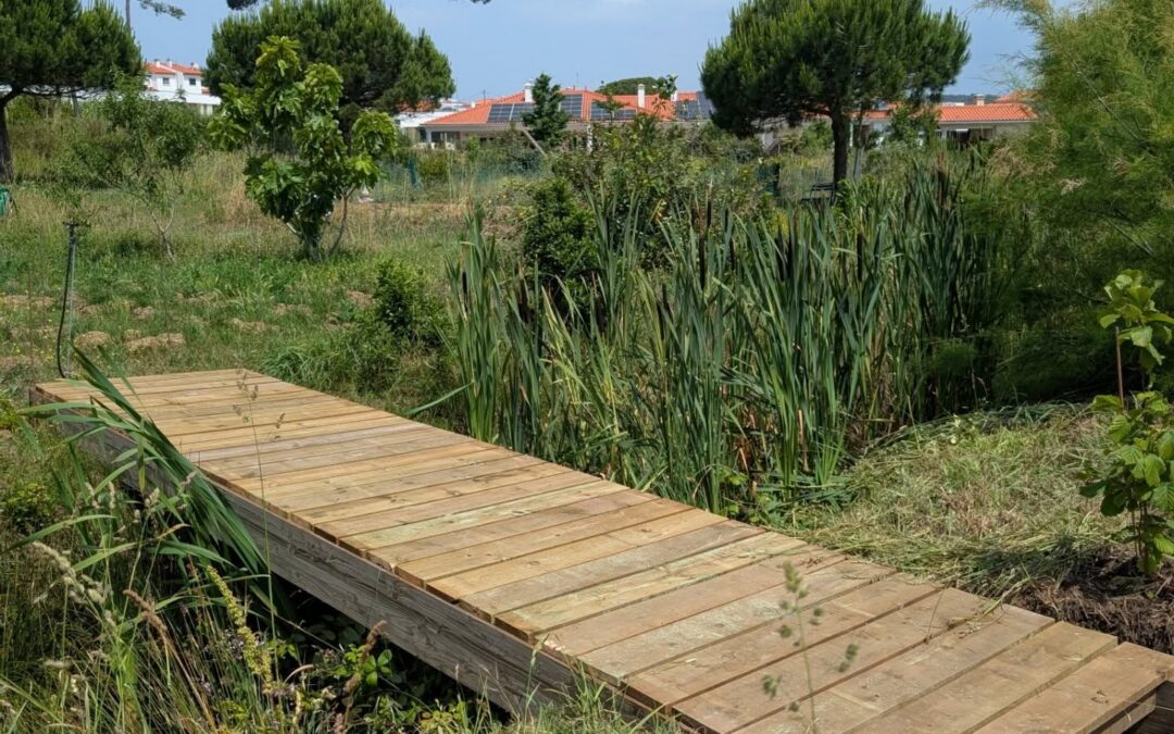 East swale bridges taking shape.