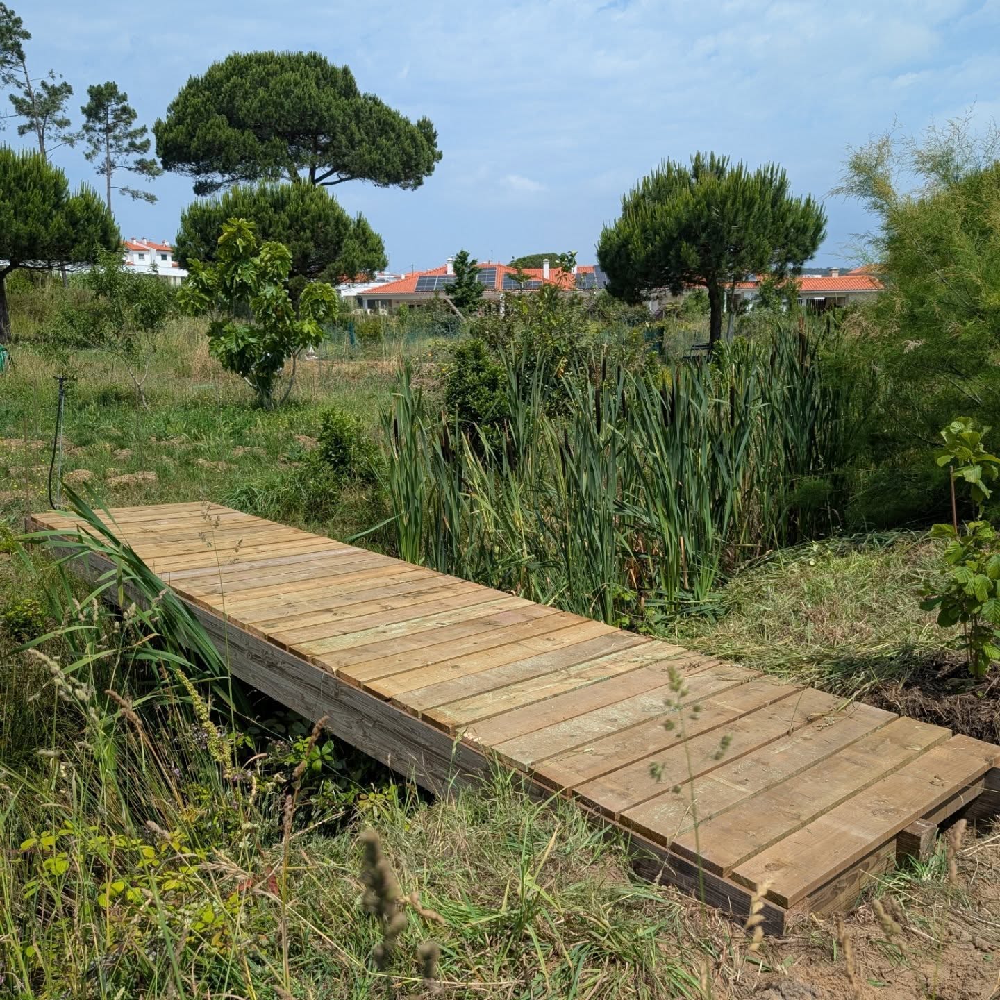 East swale bridges taking shape.