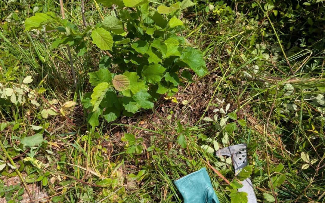 Cleaning the “nutty corner” in zone 3.