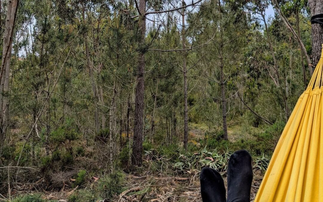 Testing newly setup chill out spot.