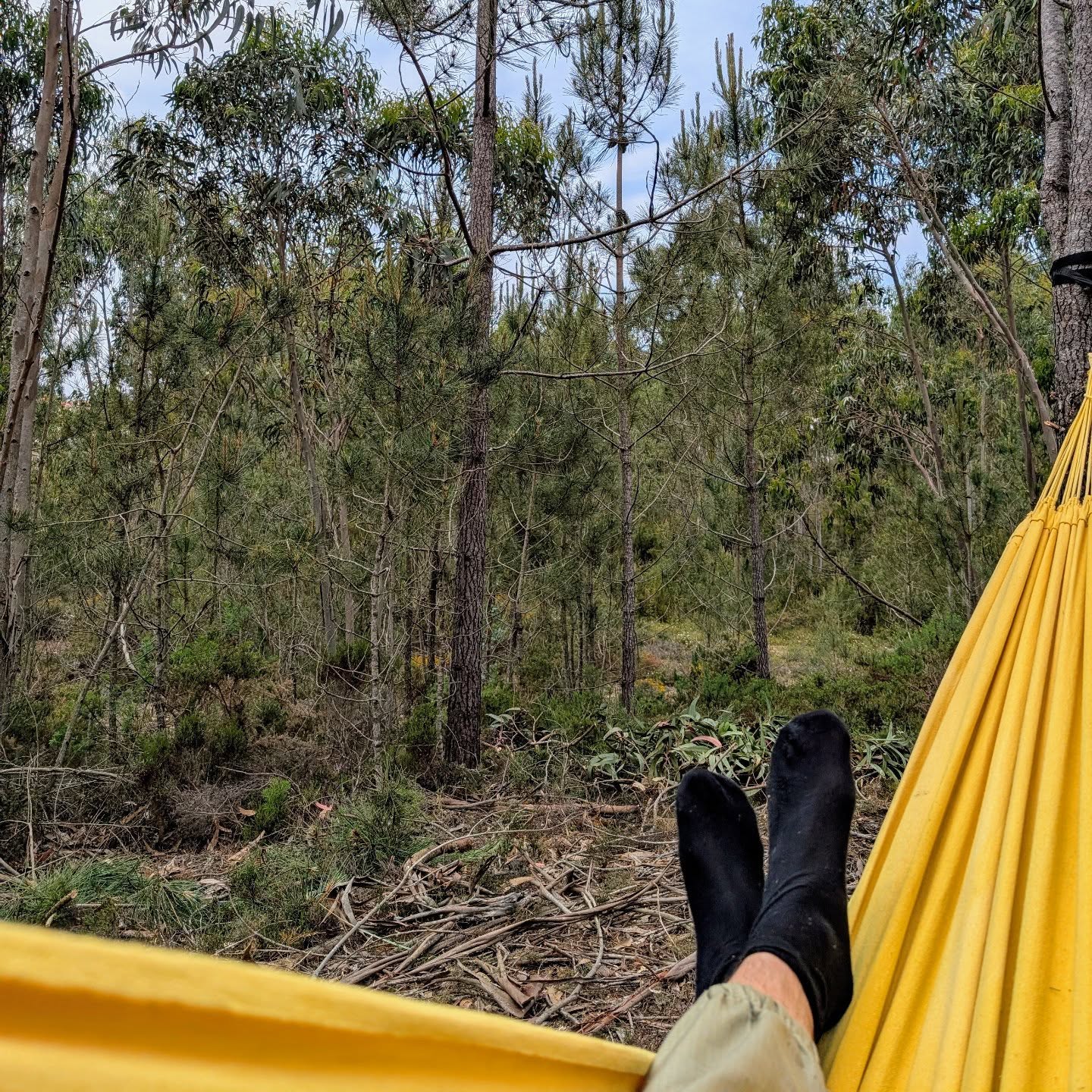 Testing newly setup chill out spot.