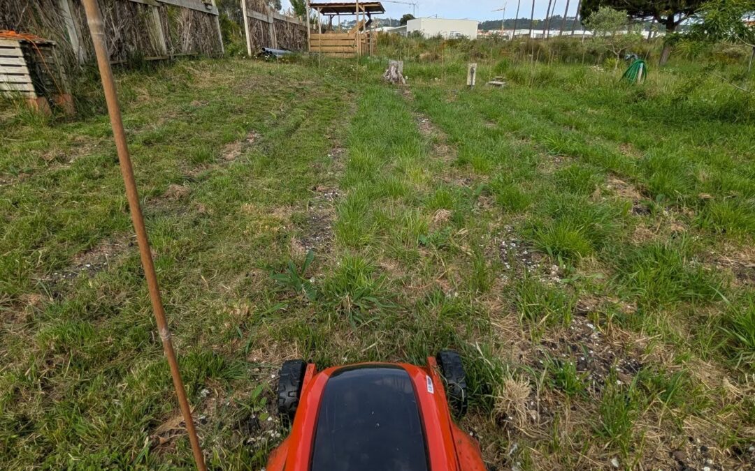 Mowing between the rows in the comfrey patch.