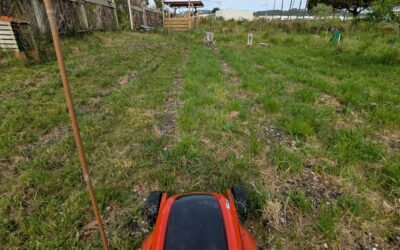 Mowing between the rows in the comfrey patch.