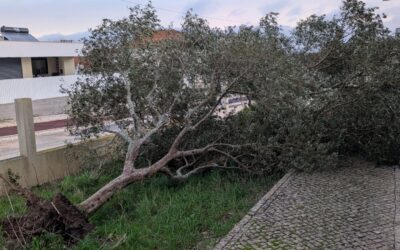 Storm Kristin aftermath.