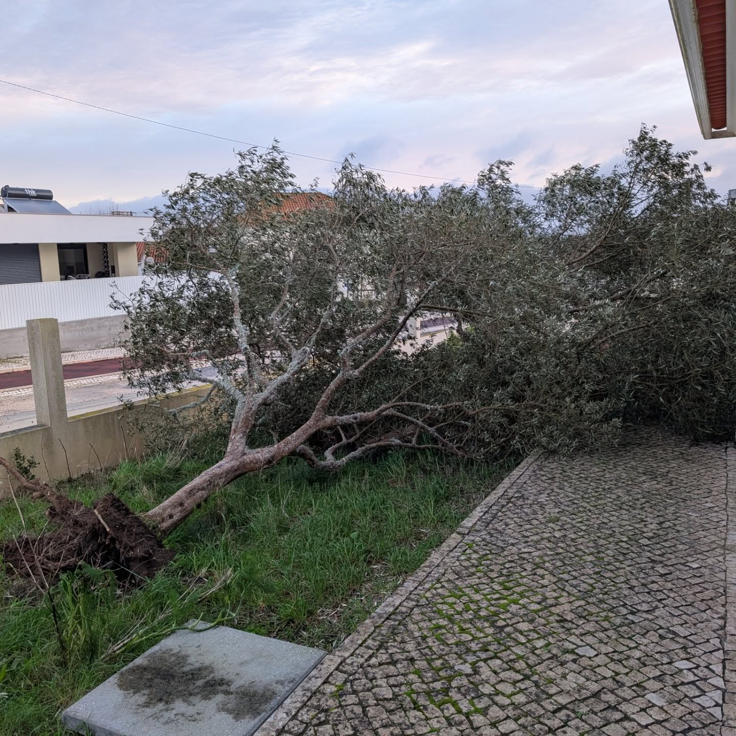 Storm Kristin aftermath.