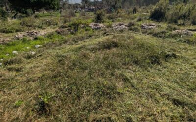 Cleaning the social circle area.