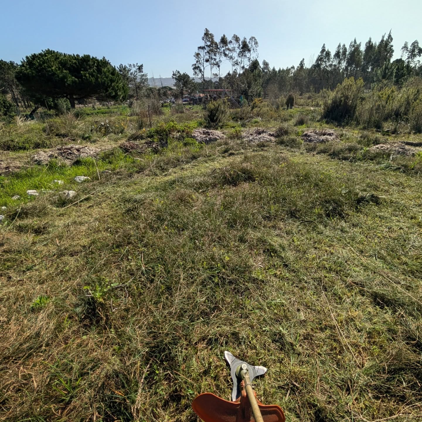 Cleaning the social circle area.