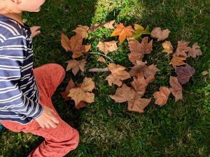 creating with leaves