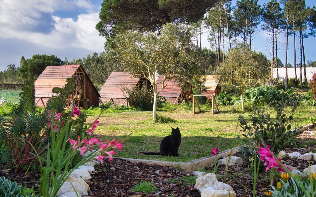Garden Explorers is coming in August!