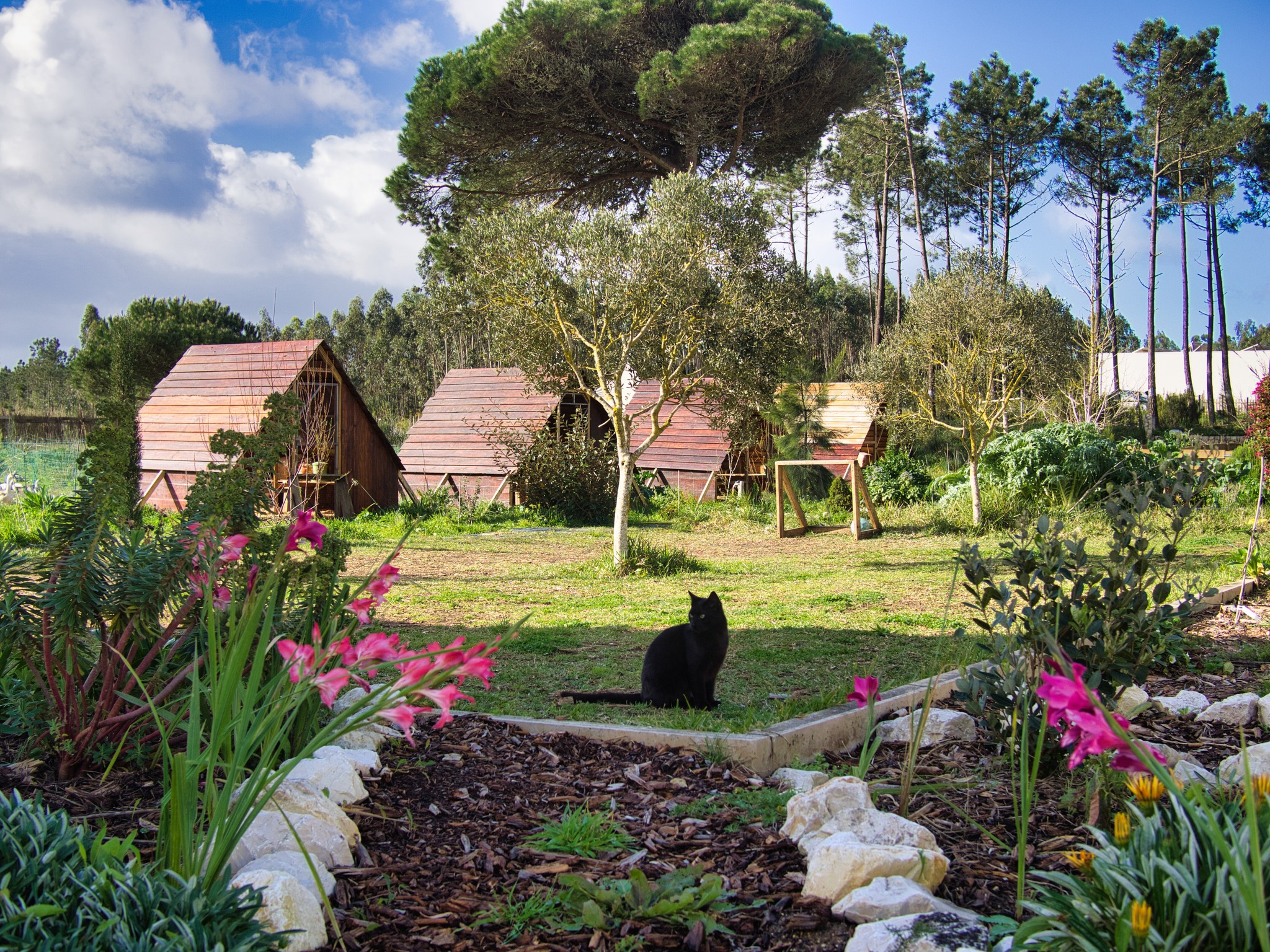 Garden Explorers is coming in August!