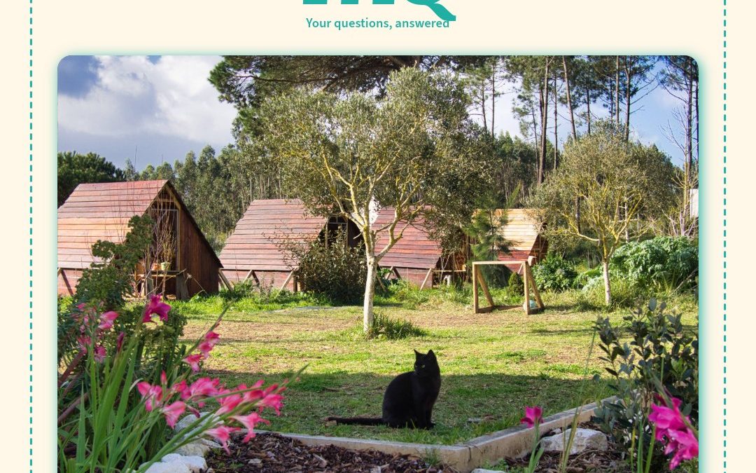 I’ve been receiving a few questions about Alo Lira: Garden Explorers, so I’ll share a small FAQ series over the next few days.