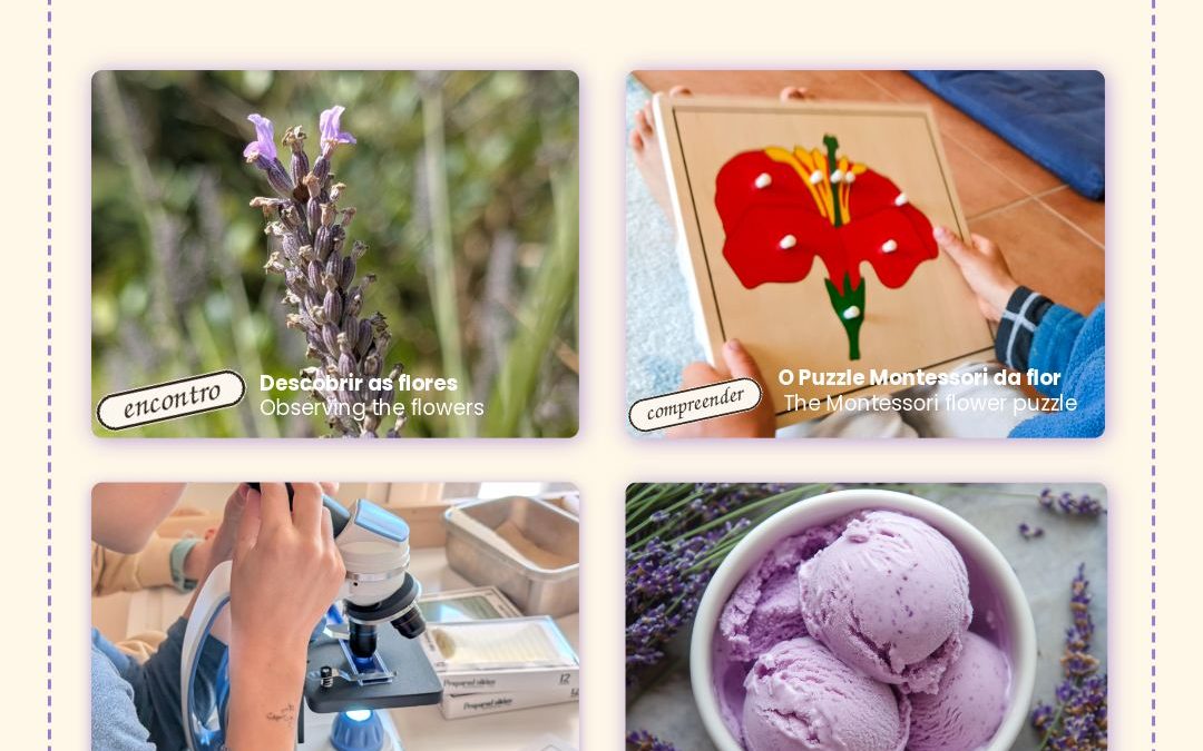 Sabias que a lavanda é muito mais do que um perfume relaxante?