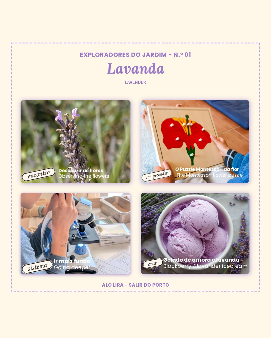 Did you know lavender is so much more than a relaxing scent? 🌿 Here at Alo Lira, on our quinta in Salir do Porto, we use this plant to explore everything from botany puzzles to sensory and scientific discovery.