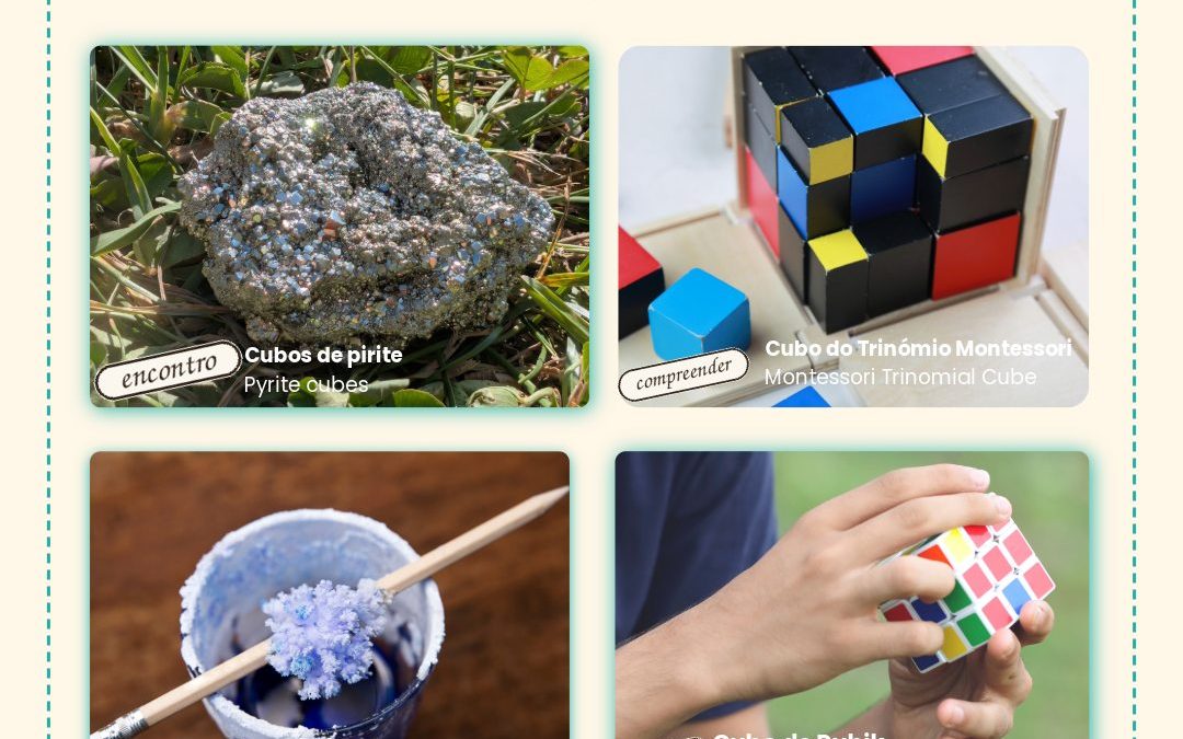 Um cubo pode nascer da terra, resolver-se com as mãos, ou crescer devagar num copo de água.
