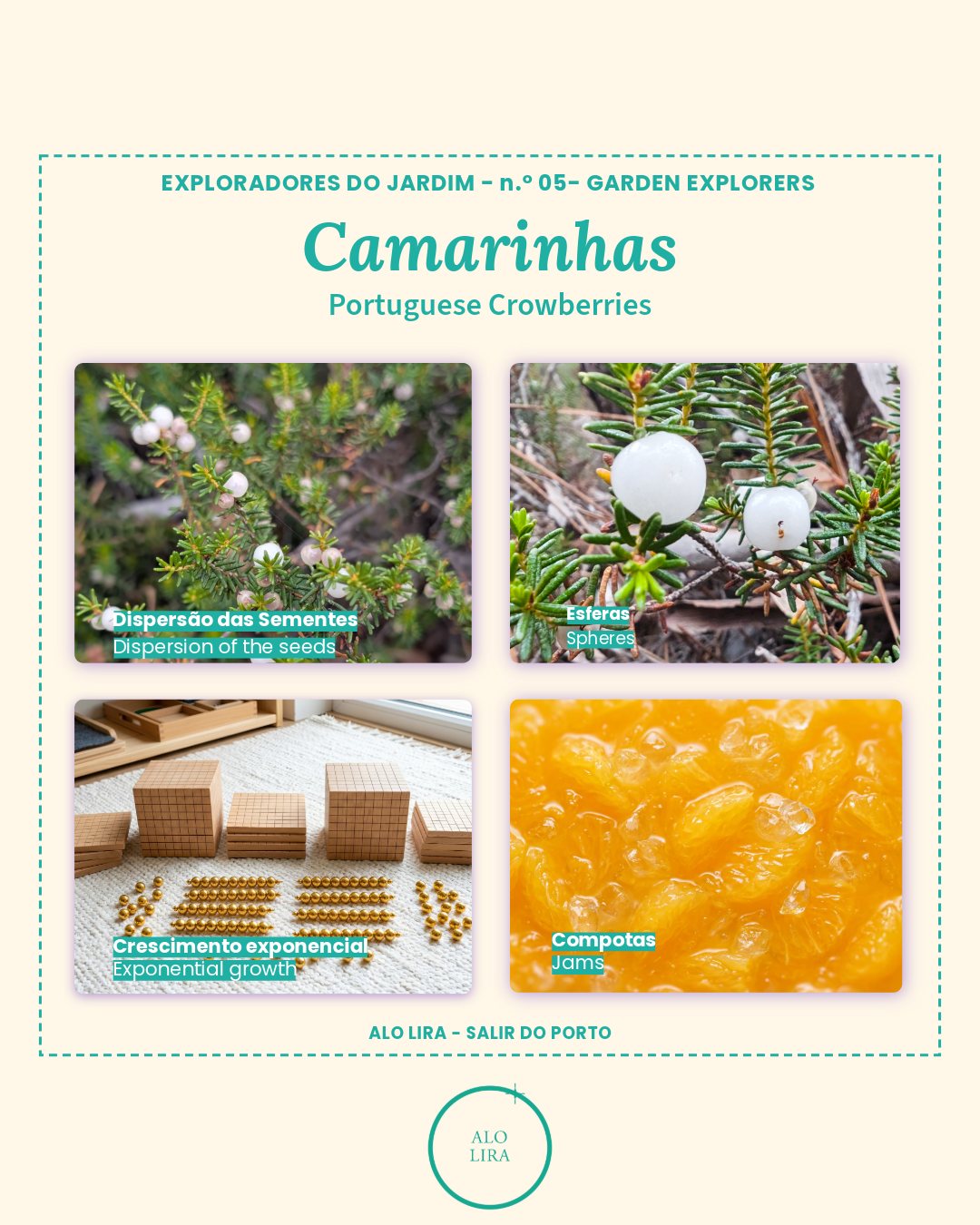 As camarinhas estão prontas a comer.